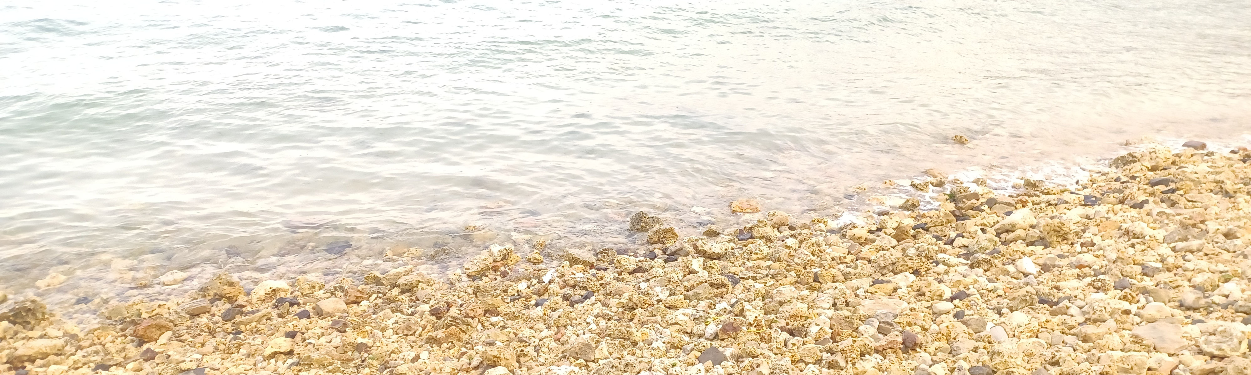 Zanzibar Forodhani shoreline